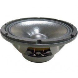 Altavoz de 10' para bajas frecuencias 10WR300