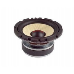 Altavoz de 6' serie Competition POWER W6