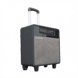 Amplificador para guitarra o bajo bateria MGB 150 USB