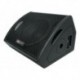 Bafle tipo monitor de 12' MM12